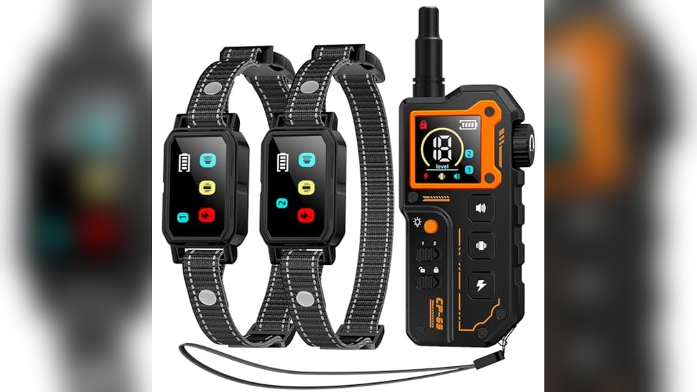 Best 2 Dog Training Collar
