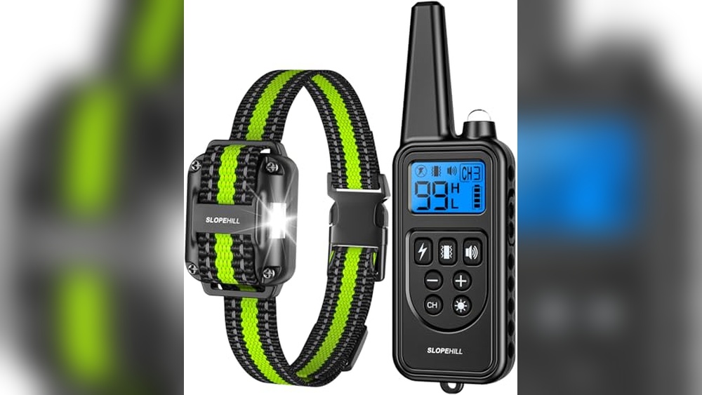Best Affordable Shock Collar For Dogs