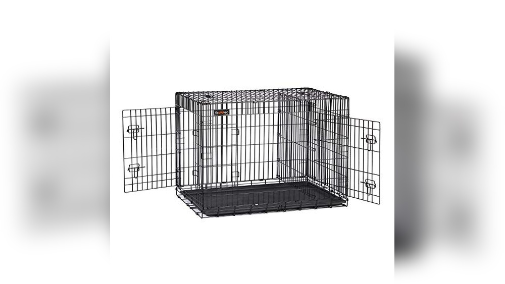 Best Airline Dog Crate