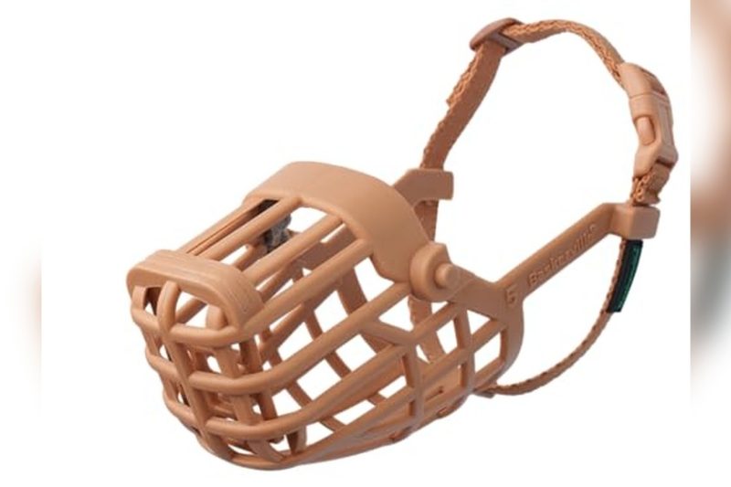 Best Basket Muzzle For Small Dogs: Top Picks & Honest Reviews