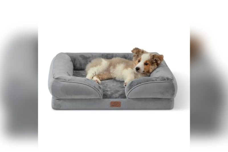 Best Bed For Older Dogs: Top Comfortable Picks Reviewed