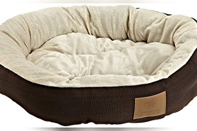 Top 7 Best Beds For English Bulldogs in 2024 – Expert Picks