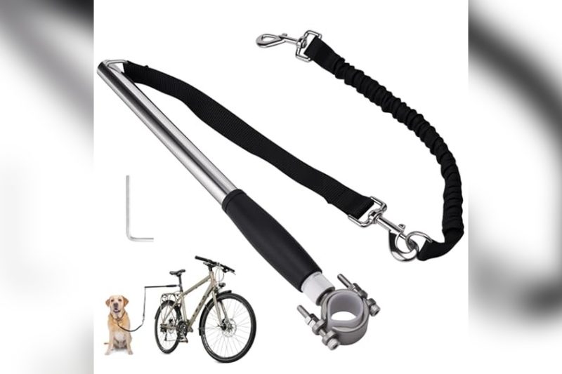 Best Bike Dog Leash: Top Picks for Safe, Fun Rides