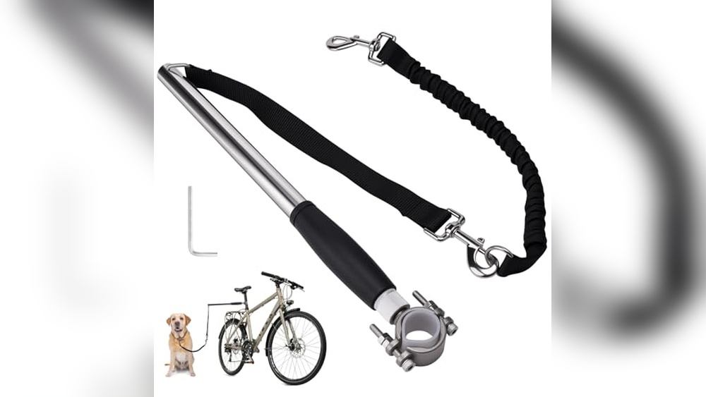 Best Bike Dog Leash