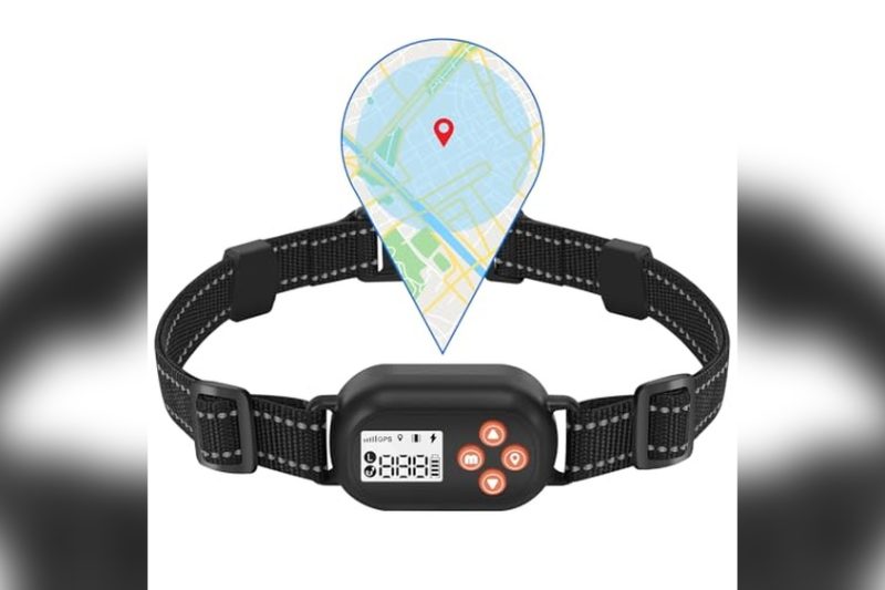 Best Boundary Collars For Dogs: Top Picks & Honest Reviews