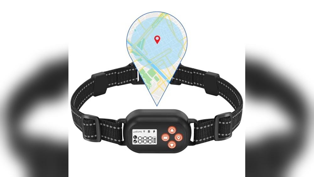 Best Boundary Collars For Dogs