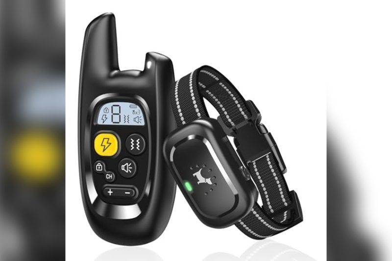 Best Budget Dog Training Collar: Top Picks for Effective Training