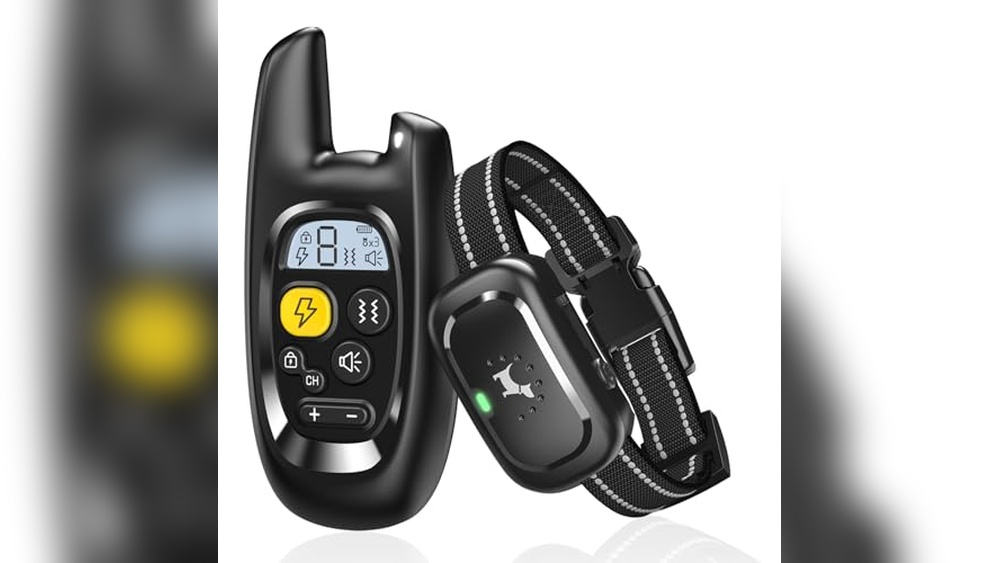 Best Budget Dog Training Collar