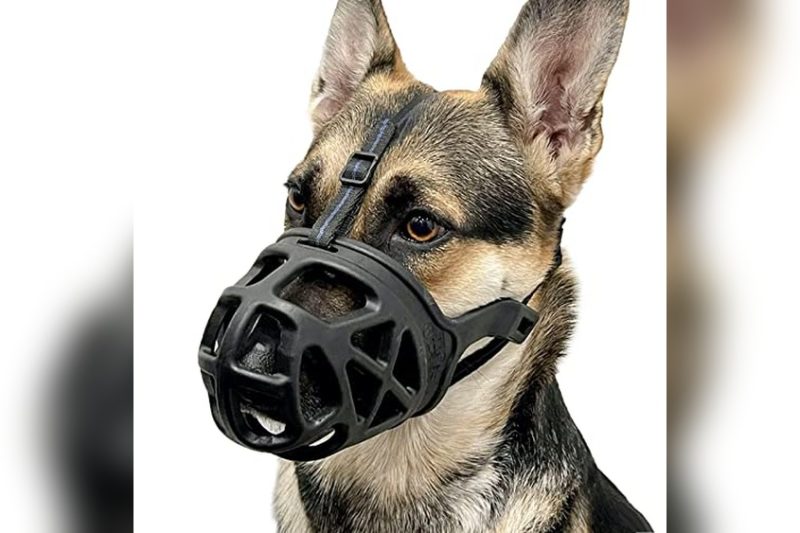 Best Cage Muzzle For Dogs: Top Picks for Safety & Comfort