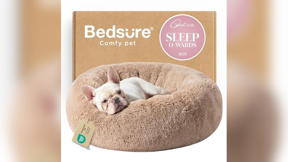 Best Calming Dog Bed