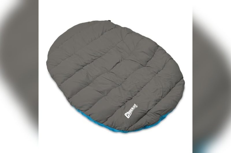 Best Camping Dog Bed Reviews: Top Picks for Outdoor Comfort
