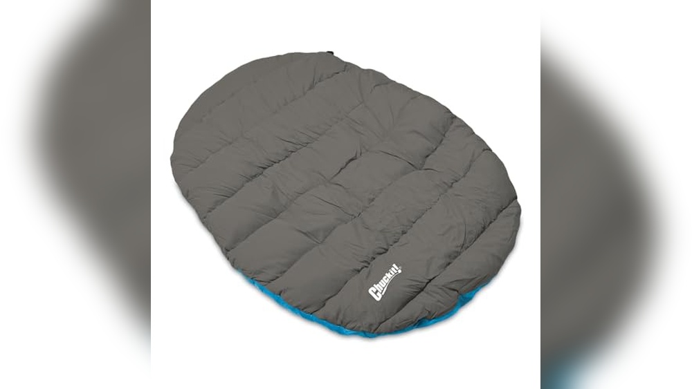 Best Camping Dog Bed