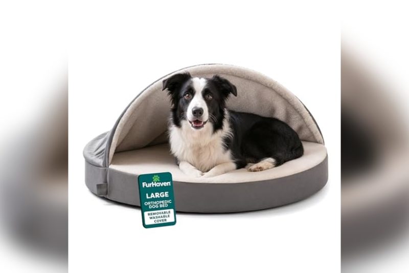 Best Cave Dog Bed: Top Cozy Picks for Your Pup in 2024