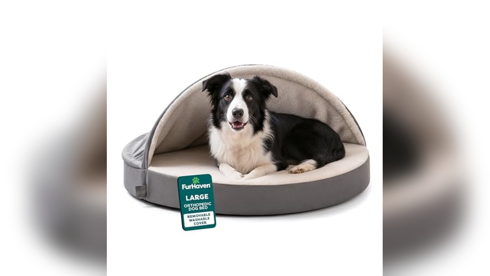 Best Cave Dog Bed