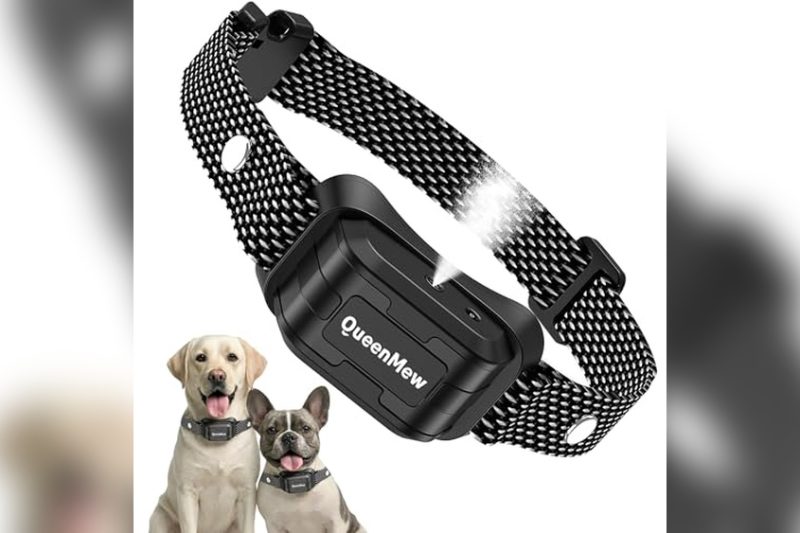 Best Citronella Bark Collar For Small Dogs: Top Picks 2024