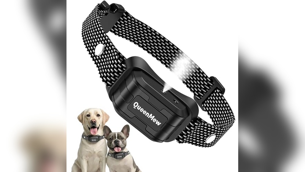 Best Citronella Bark Collar For Small Dogs