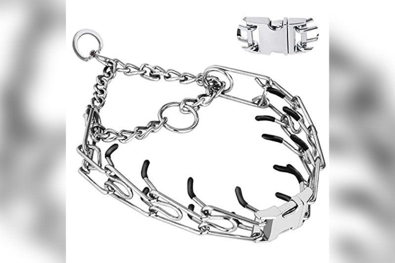 Best Collar For Aggressive Dog: Top Picks for Safety & Control