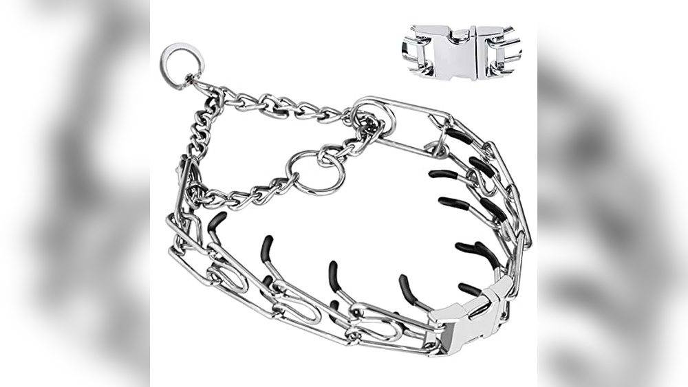 Best Collar For Aggressive Dog