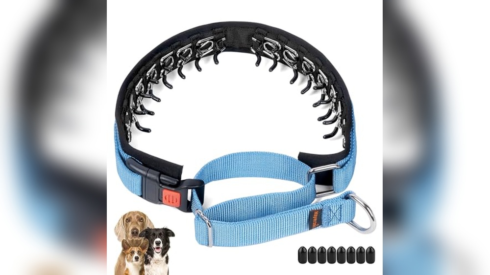Best Collar For Big Dogs That Pull