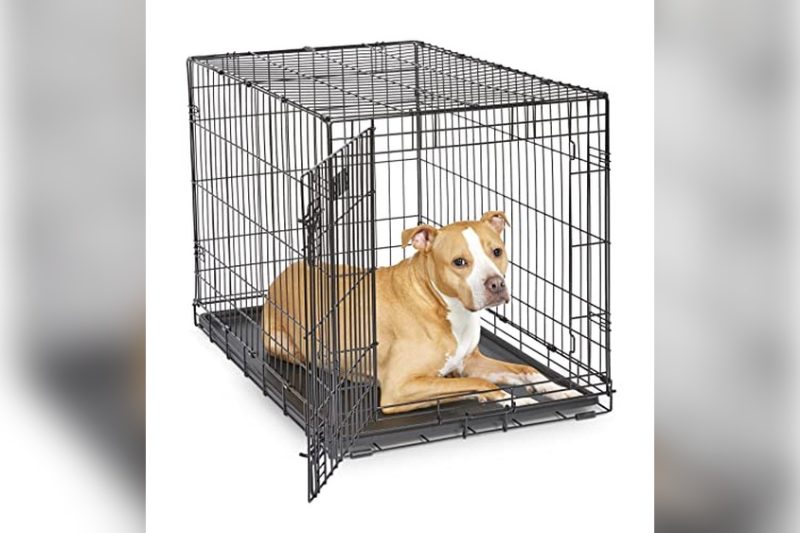 Best Crate For Bernese Mountain Dog: Top Picks & Buying Guide