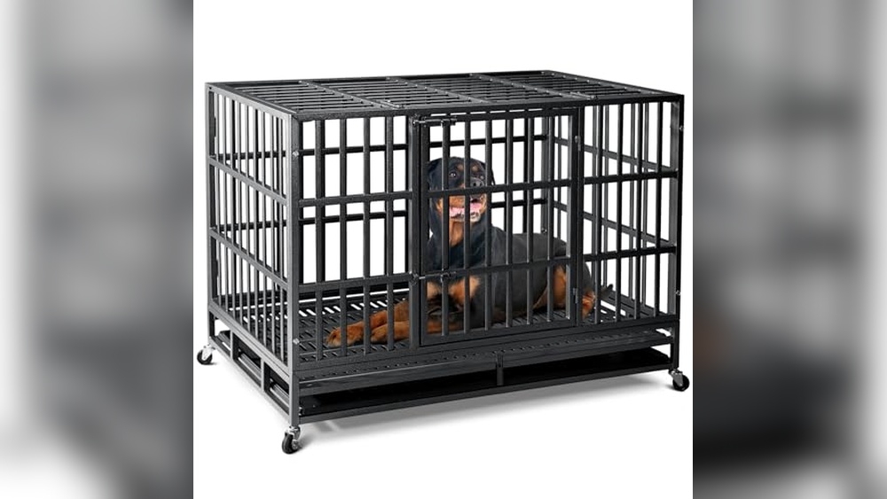 Best Crate For Destructive Dogs