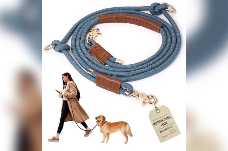 Best Cross Body Dog Leash: Top Picks for Comfort & Control