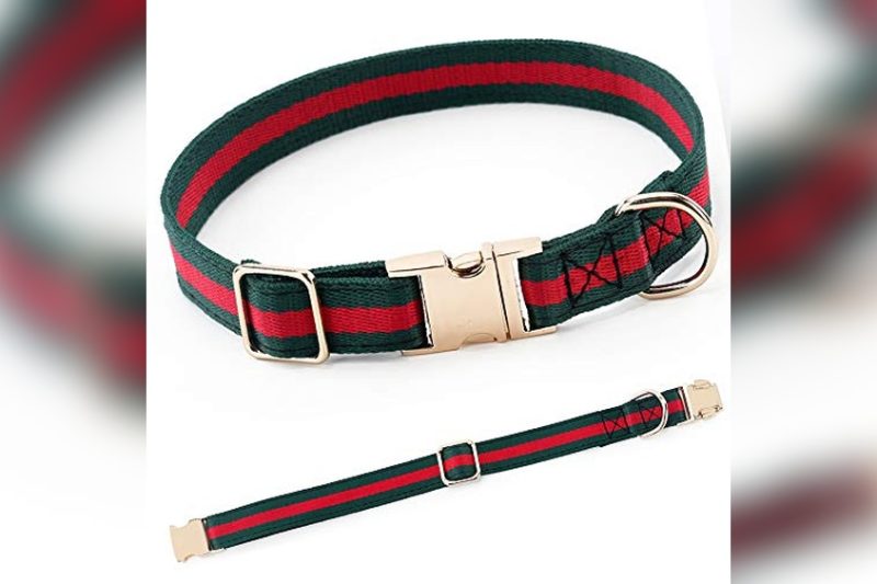 Best Designer Dog Collars: Top Picks for Style & Comfort