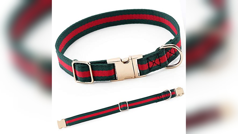 Best Designer Dog Collars