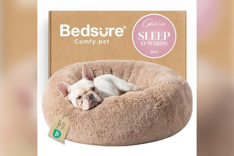 Best Dog Anxiety Bed Reviews: Top Cozy Picks for Calm Pets