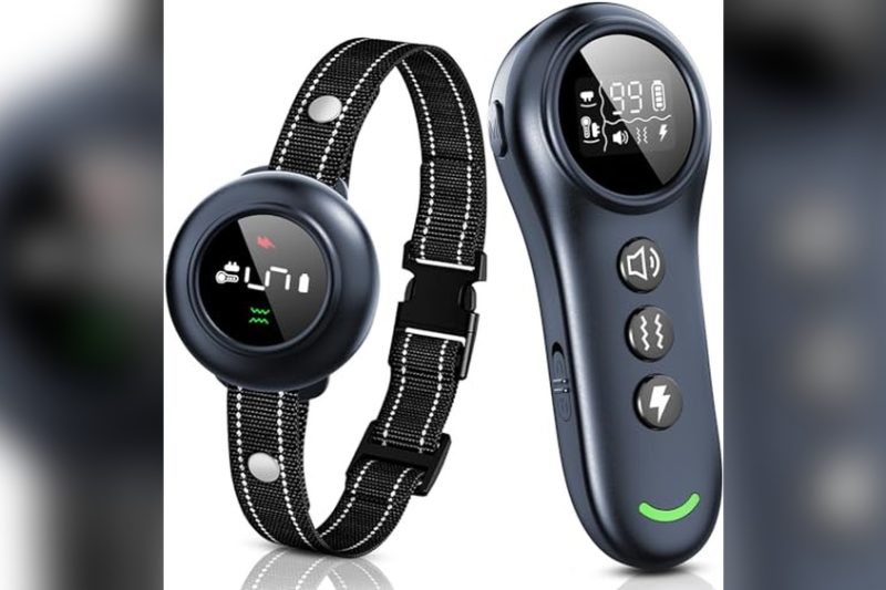 Best Dog Bark Collar With Remote: Top Picks for Effective Training