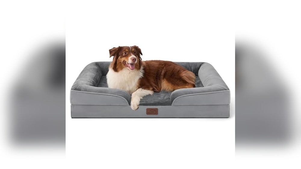 Best Dog Bed Arthritis