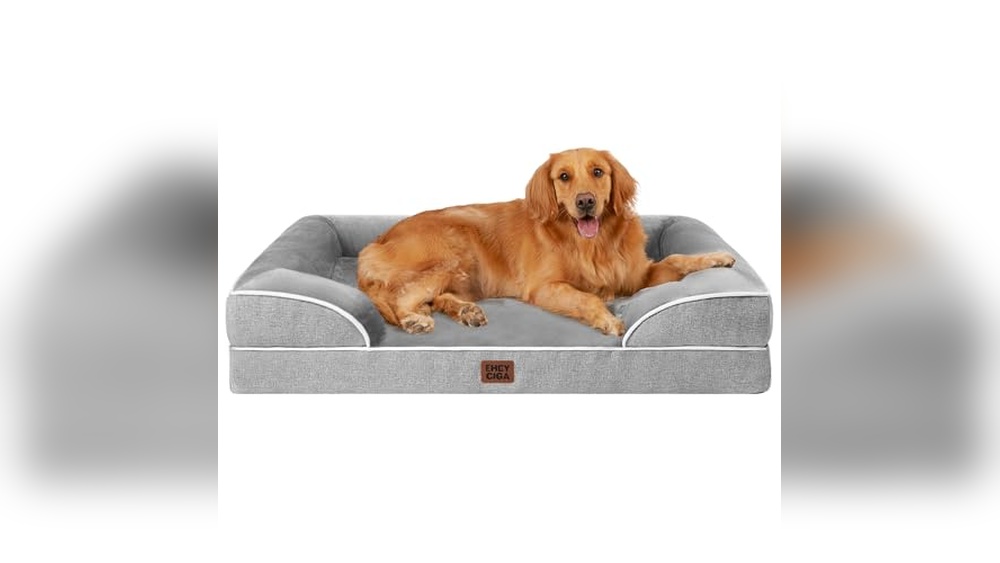 Best Dog Bed For Border Collie