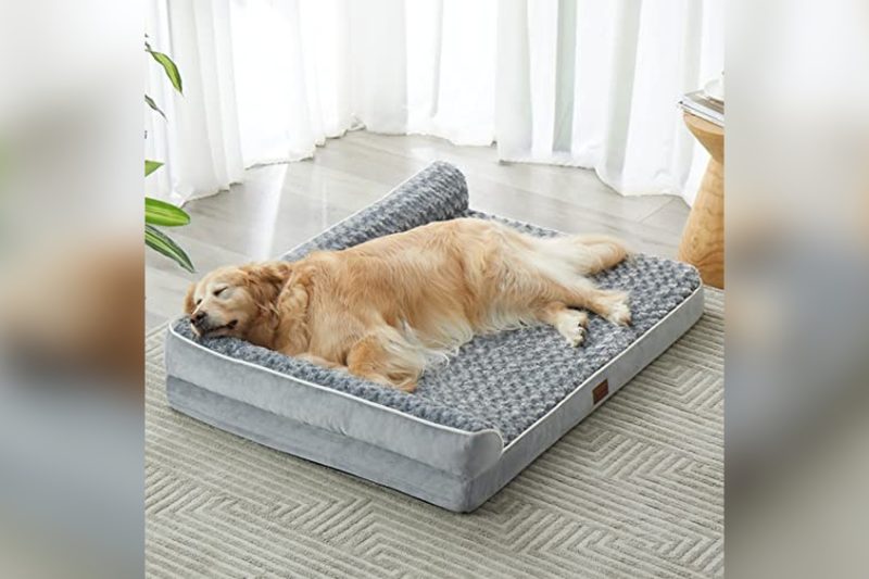 Best Dog Bed For Boxers: Top Cozy Picks Reviewed 2024