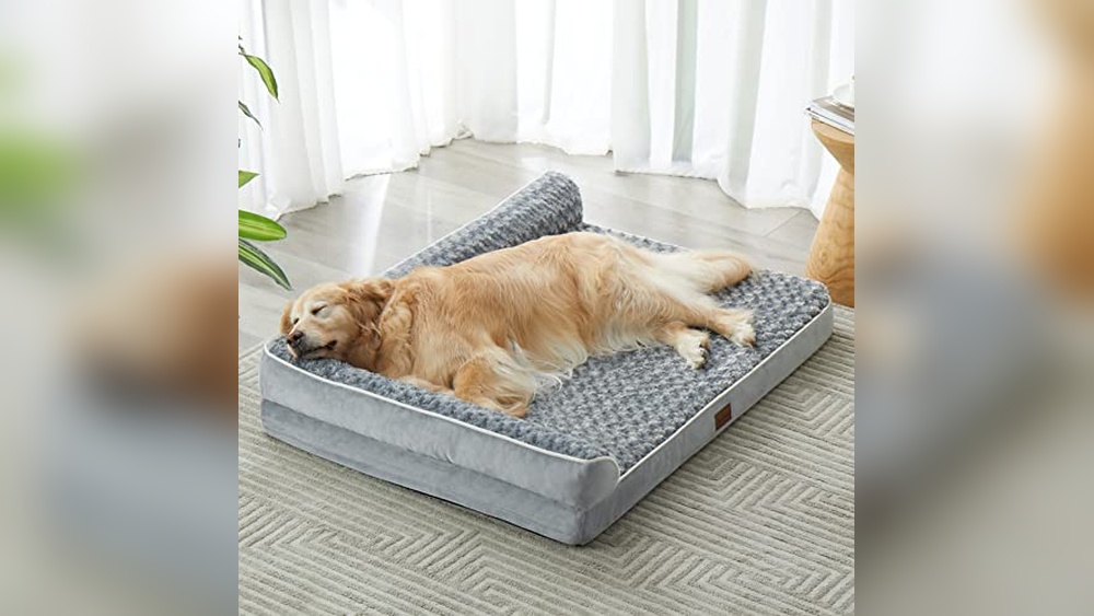 Best Dog Bed For Boxers