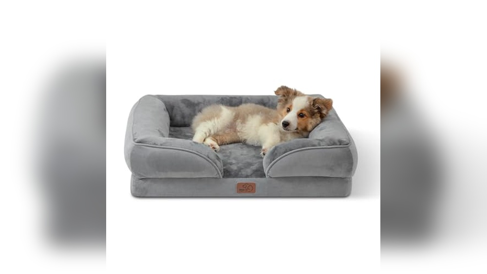 Best Dog Bed For Cocker Spaniel
