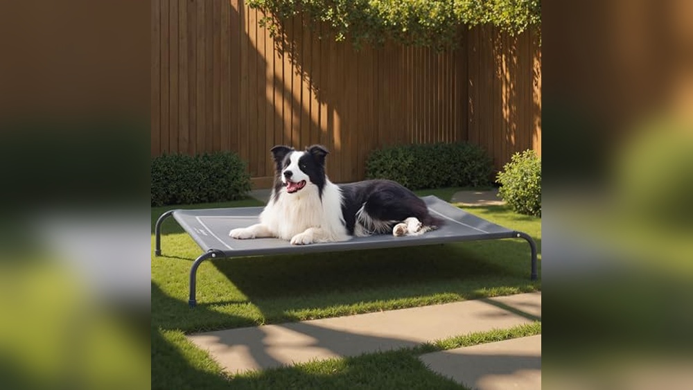 Best Dog Bed For Hot Weather