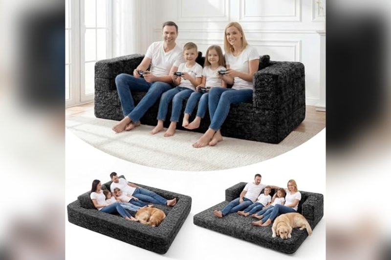 Best Dog Bed For Humans: Top Picks for Comfort & Support