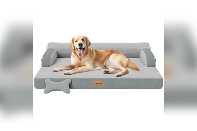 Best Dog Bed For Large Dogs With Hip Problems: Top Picks 2024