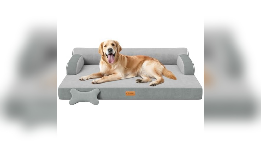 Best Dog Bed For Large Dogs With Hip Problems