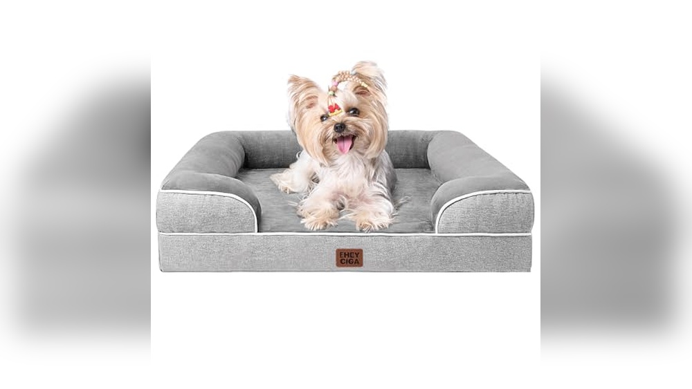 Best Dog Bed For Small Senior Dogs