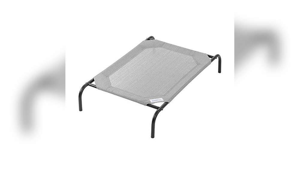 Best Dog Bed For Summer