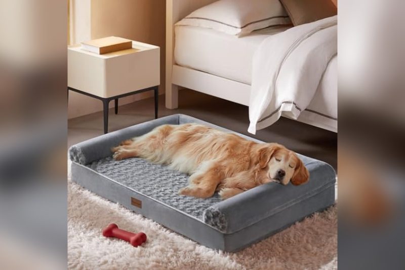 Best Dog Bed With Washable Cover: Top Picks for Comfort & Cleanliness