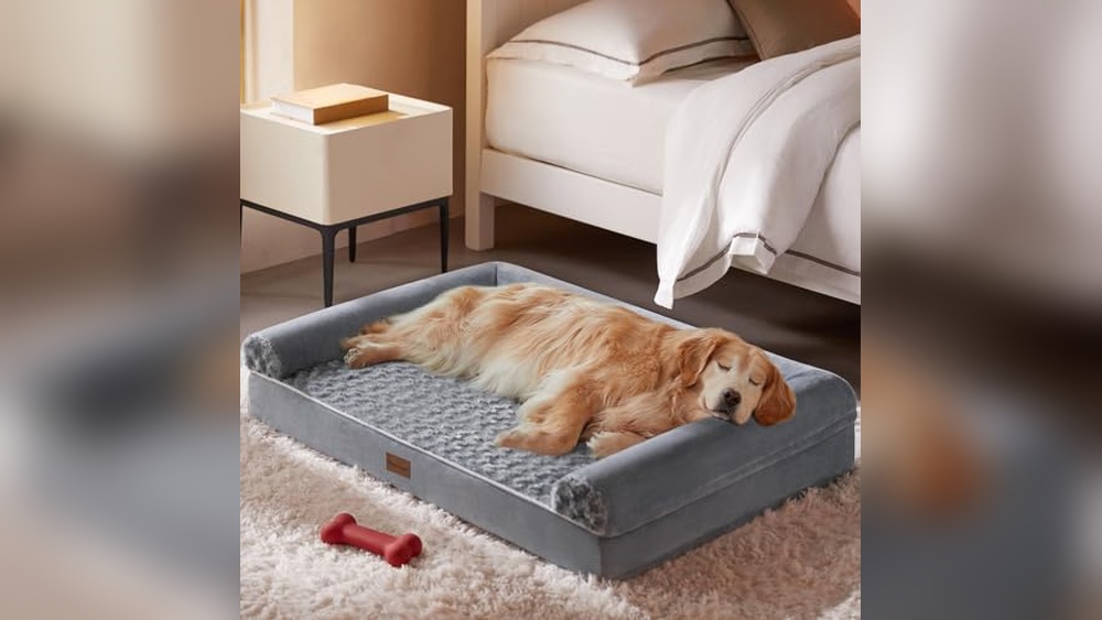 Best Dog Bed With Washable Cover