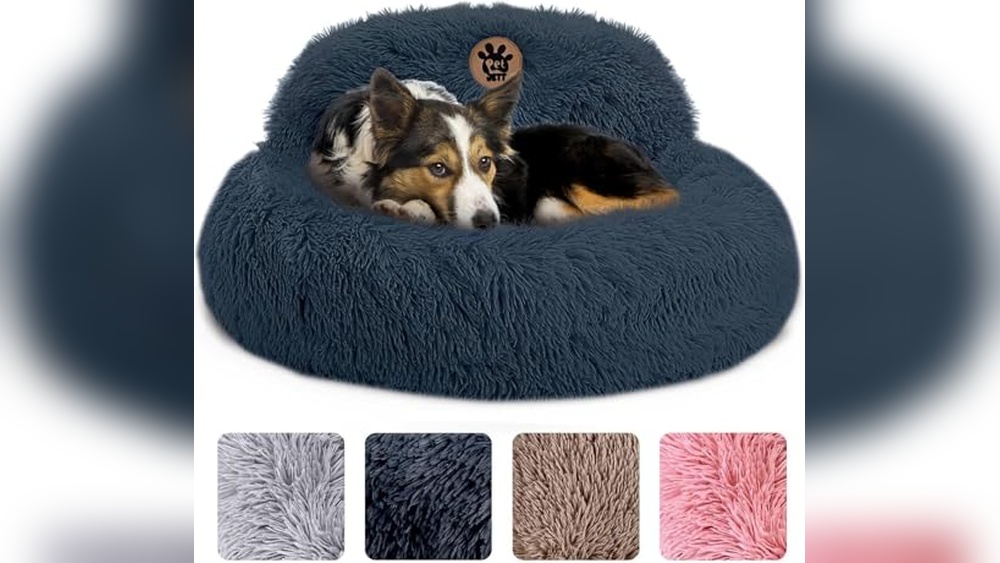 Best Dog Beds For Anxious Dogs