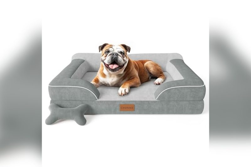 Best Dog Beds For Bulldogs: Top Cozy Picks Reviewed 2024