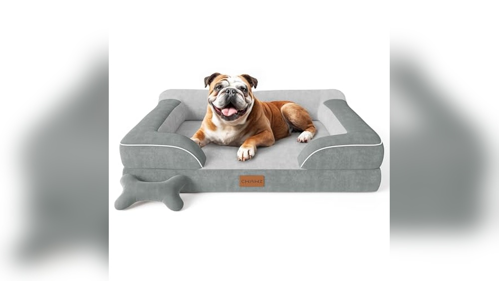 Best Dog Beds For Bulldogs