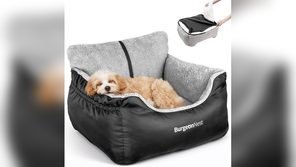 Best Dog Beds For Car Travel