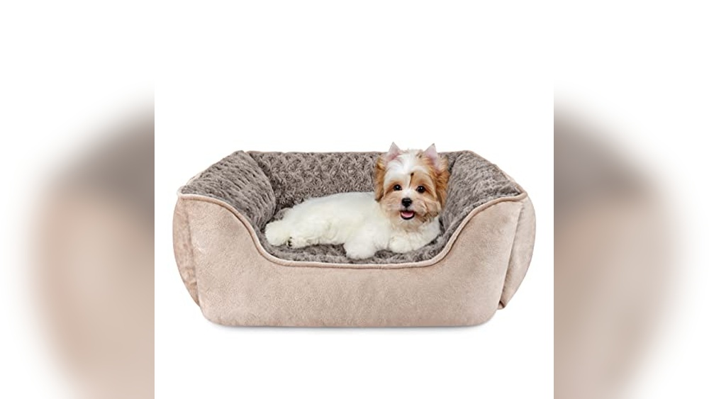 Best Dog Beds For Small Breeds