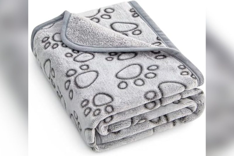 Best Dog Blanket For Bed: Top Cozy Picks Reviewed 2024