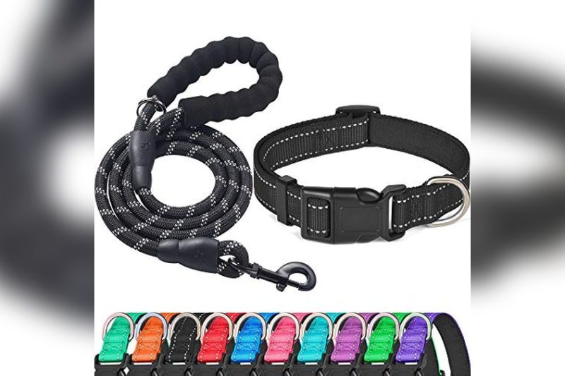 Best Dog Collar And Leash Sets: Top Picks for Safety & Style